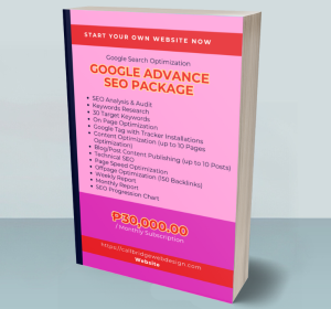 Google SEO Advance Pack