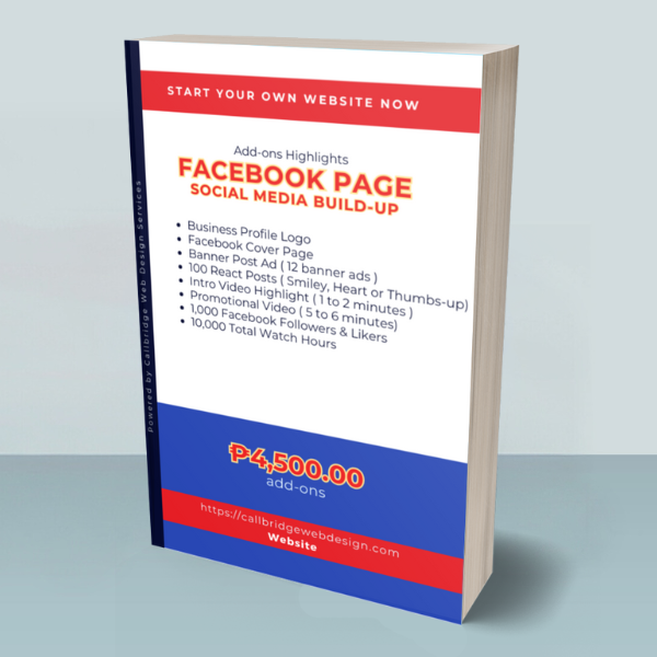 Facebook Page Build-up